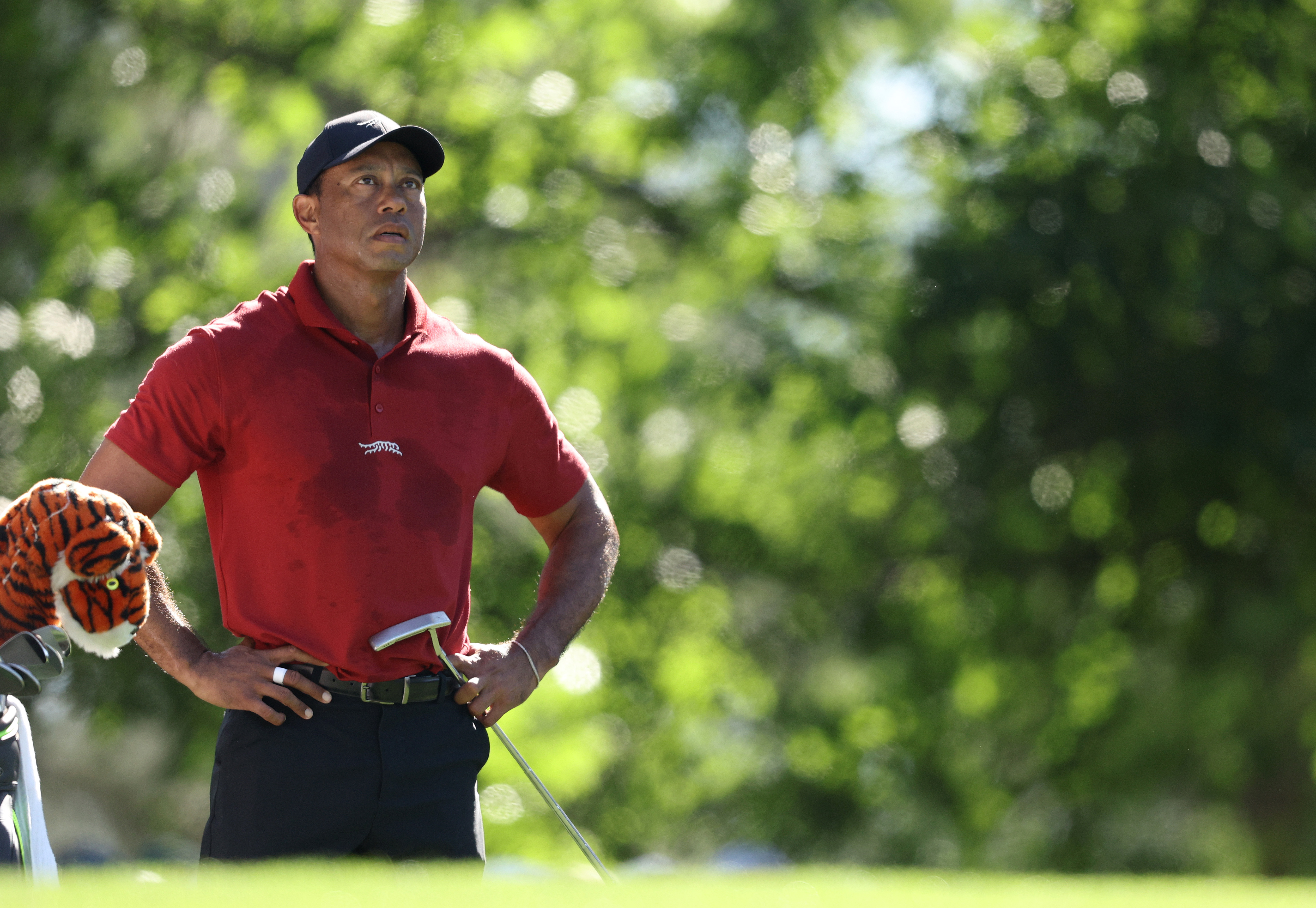 Tiger Woods, The Masters